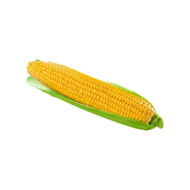 Corn on the Cob/Sweet Corn