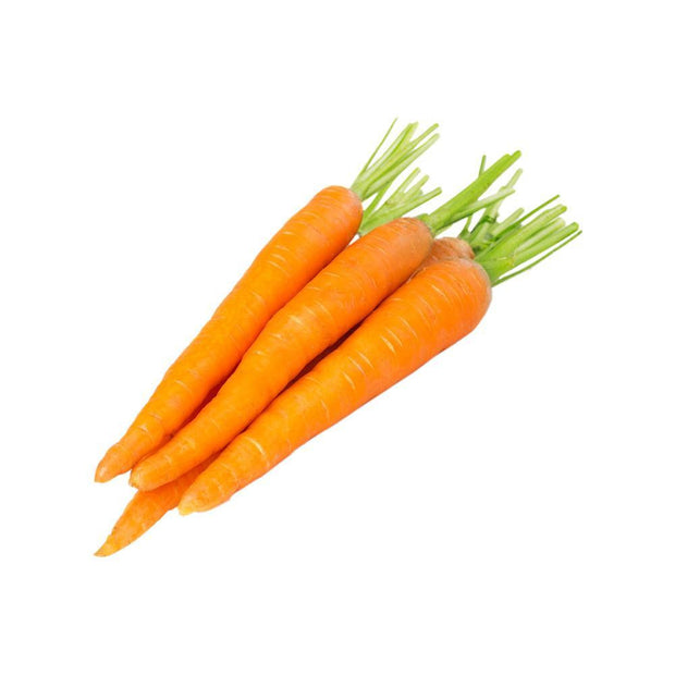 Carrot- Orange